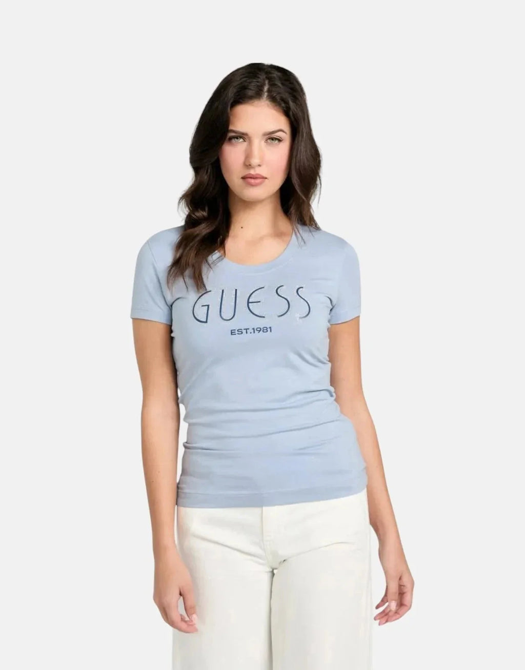 Guess Logo Dark Blue T-Shirt