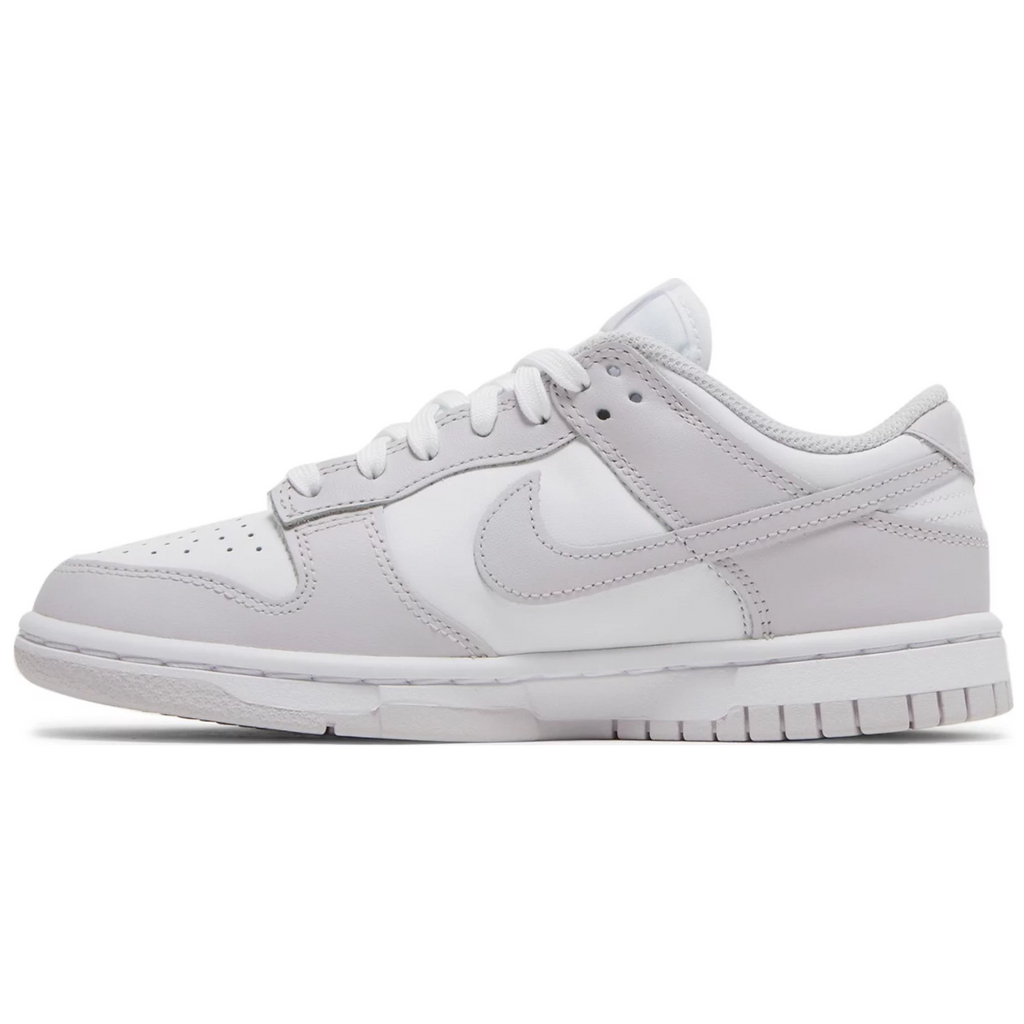 Nike Dunk Low Venice (W)