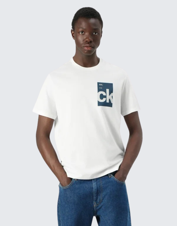 Calvin Klein Box Graphic Short Sleeve T-Shirt In White Men