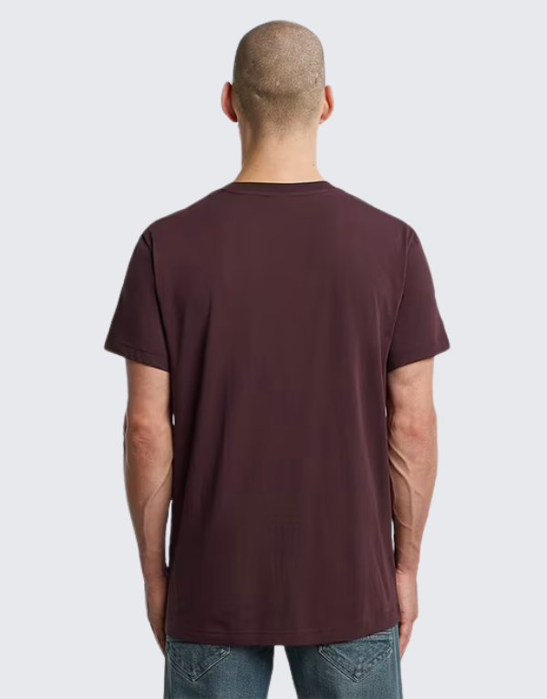G-Star Raw Gel Print Short Sleeve T-Shirt In Maroon